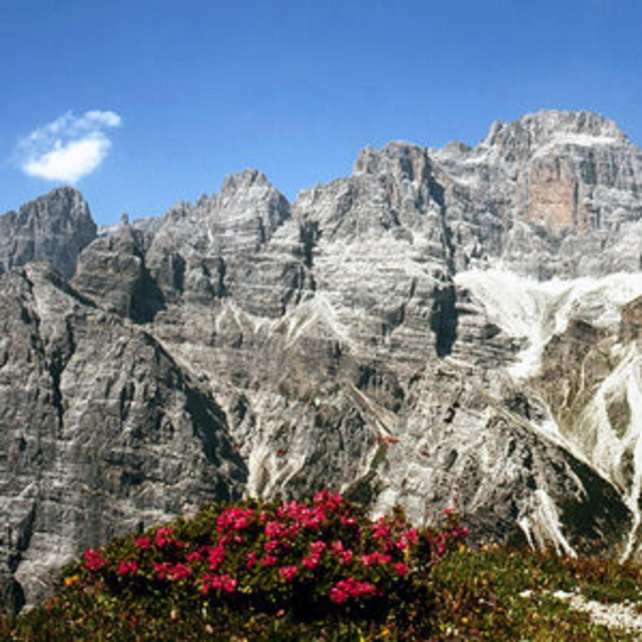 Residence Rio Piccolo Molveno Eksteriør bilde